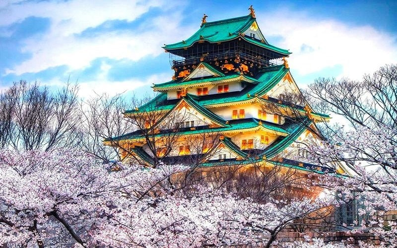 Du lịch Cung đường vàng Nhật Bản mùa hoa anh đào (6N5Đ)