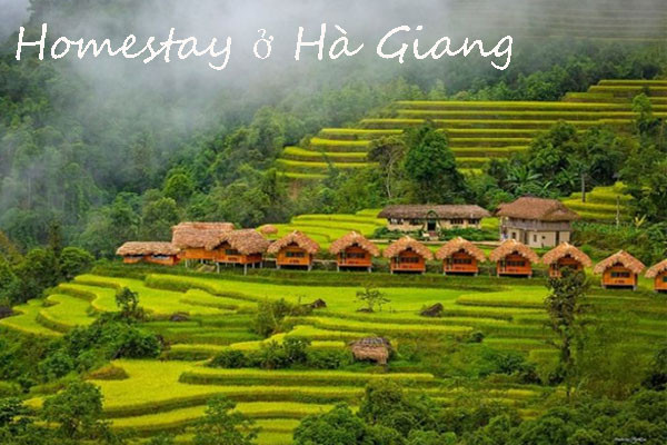 Top 5 Homestay Hà Giang giá rẻ, chất lượng nhất