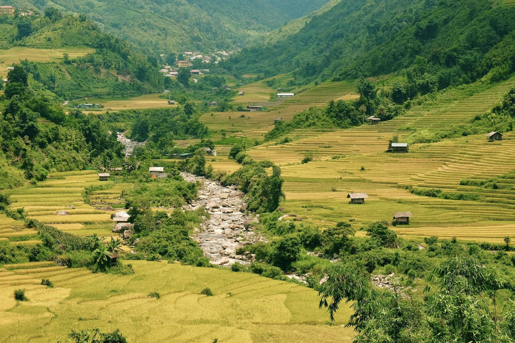 Tây Bắc như bức tranh thiên nhiên hùng vĩ với những dãy núi cao ngút ngàn, những thung lũng xanh mướt (Nguồn: Internet)