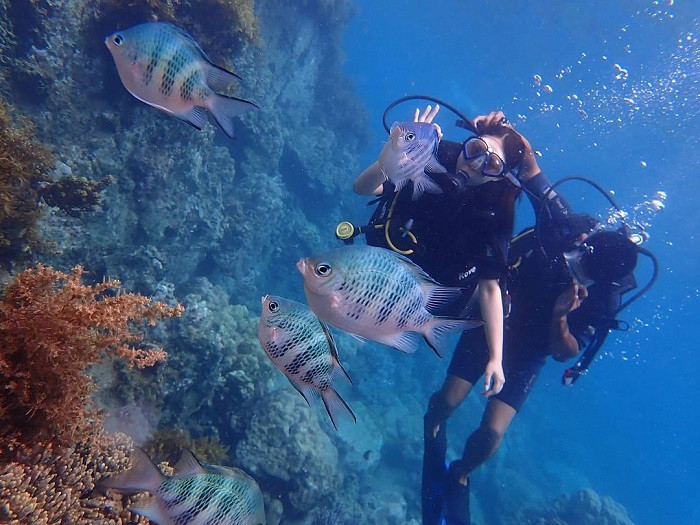 Trải nghiệm lặn ngắm san hô